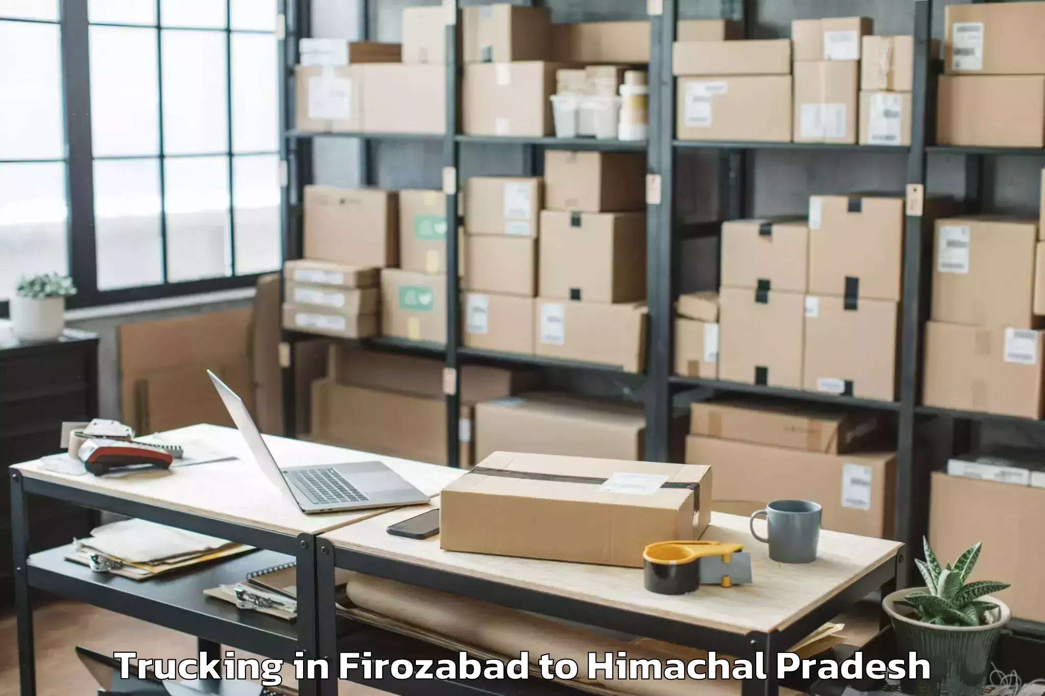 Affordable Firozabad to Hamirpur Himachal Trucking